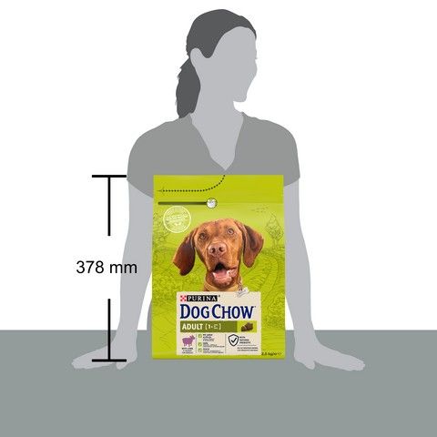 Сухой корм для взрослых собак Dog Chow Adult с ягненком 2.5 кг (7613034485946) VZ000029976F фото