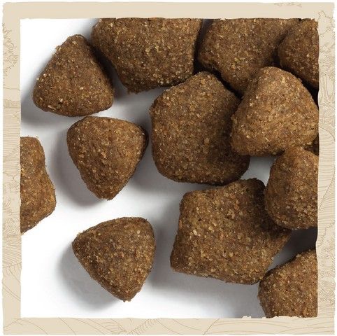 Сухой корм для взрослых собак Dog Chow Adult с ягненком 2.5 кг (7613034485946) VZ000029976F фото