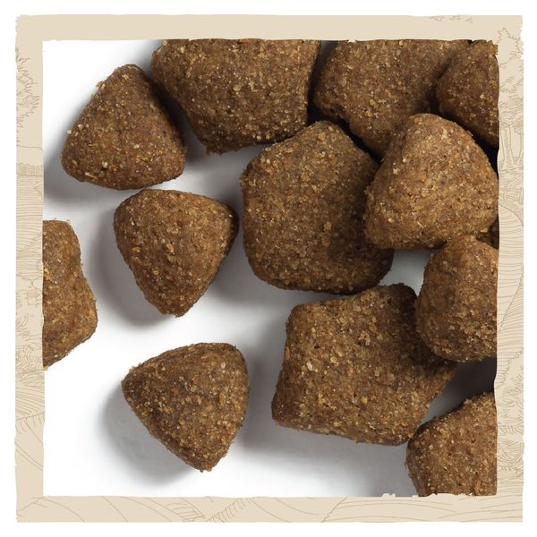 Сухой корм Dog Chow Large Breed для собак больших пород от 2 лет с индейкой 14 кг (7613034487926) VZ000030009F фото