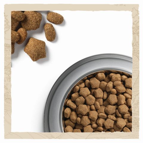 Сухой корм Purina Dog Chow Active Adult для собак с повышенной активностью с курицей 14 кг (7613034487933) VZ000030014F фото