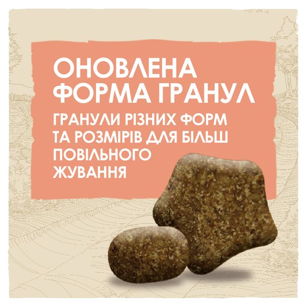 Сухой корм Purina Dog Chow Active Adult для собак с повышенной активностью с курицей 14 кг (7613034487933) VZ000030014F фото