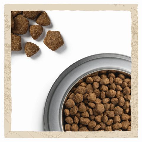 Сухой корм для взрослых собак Dog Chow Adult с ягненком 14 кг (7613034487636) VZ000030025F фото