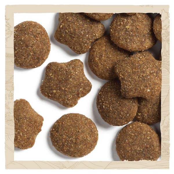 Сухой корм для щенков больших пород Dog Chow Puppy Large Breed с индейкой 14 кг (7613034487919) VZ000030028F фото