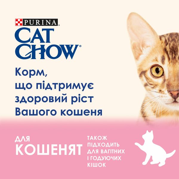 Влажный корм для котят Purina Cat Chow Kitten кусочки в желе с индейкой и цуккини 85 г (7613036595001) VZ000076760F фото