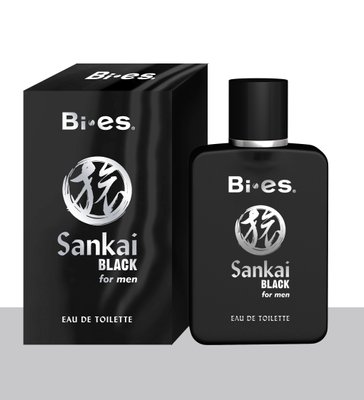 Туалетна вода Bi-es Sankai Black для чоловіків 100 мл. (5906513003574) VZ000075770F фото