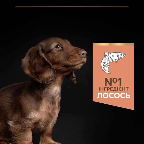 Сухой корм PRO PLAN Small&Mini Puppy Sensitive для щенков мелких пород с чувствительной кожей, с лососем 3 кг (7613035123809) VZ000073288F фото