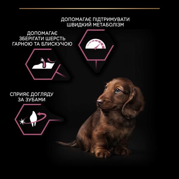 Сухой корм PRO PLAN Small&Mini Puppy Sensitive для щенков мелких пород с чувствительной кожей, с лососем 3 кг (7613035123809) VZ000073288F фото