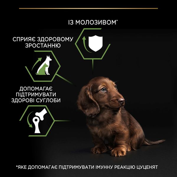 Сухие корма Purina Pro Plan Puppy Small and Mini OptiStart для щенков малых и миниатюрных пород. 7 кг (7613035123366) VZ000073290F фото