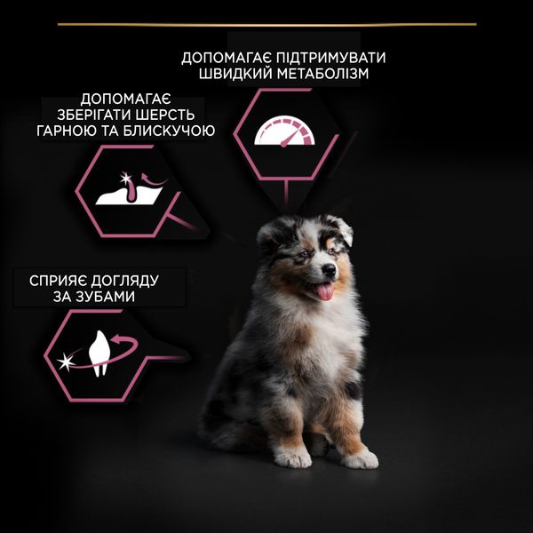 Сухой корм Purina Pro Plan Medium Puppy для щенков средних пород с чувствительной кожей с лососем 12 кг (7613035120389) VZ000030055F фото