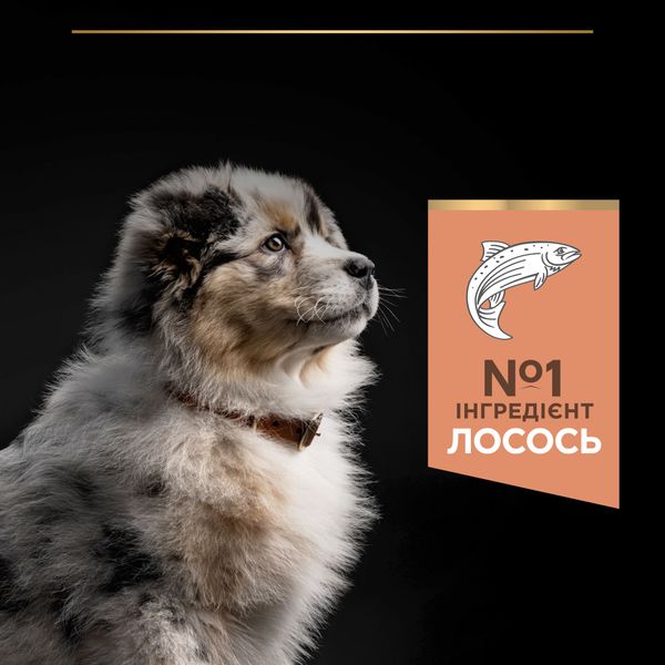 Сухой корм Purina Pro Plan Medium Puppy для щенков средних пород с чувствительной кожей с лососем 12 кг (7613035120389) VZ000030055F фото