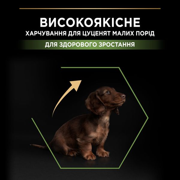 Сухие корма Purina Pro Plan Puppy Small and Mini OptiStart для щенков малых и миниатюрных пород. 7 кг (7613035123366) VZ000073290F фото