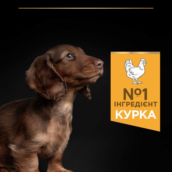 Сухие корма Purina Pro Plan Puppy Small and Mini OptiStart для щенков малых и миниатюрных пород. 7 кг (7613035123366) VZ000073290F фото