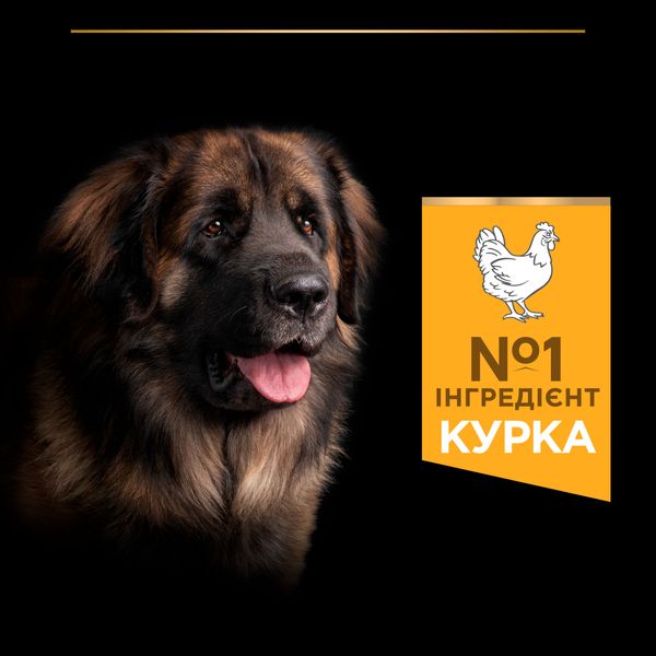 Сухой корм для взрослых собак больших пород Purina Pro Plan Large Robust Adult 2+ Everyday Nutrion с курицей 14 кг. VZ000030056F фото