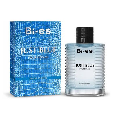 Туалетна вода Bi-es Just Blue для чоловіків 100 мл. (5902734841902) VZ000075773F фото