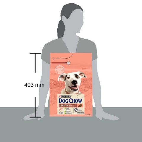 Сухой корм DOG CHOW Sensitive Adult 1+ для взрослых собак, склонных к аллергии, с лососем 2.5 кг (7613034488268) VZ000073974F фото