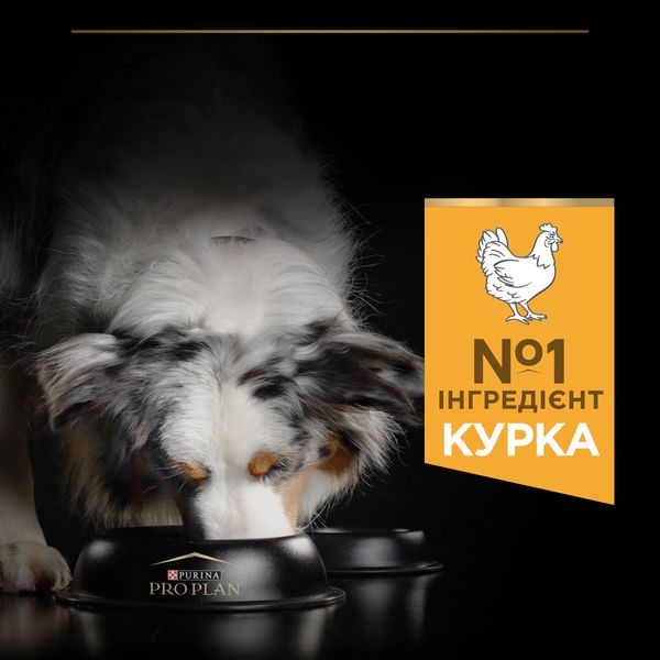 Сухой корм для взрослых собак больших пород Purina Pro Plan Large Robust Adult 2+ Everyday Nutrion с курицей 14 кг. VZ000030058F фото