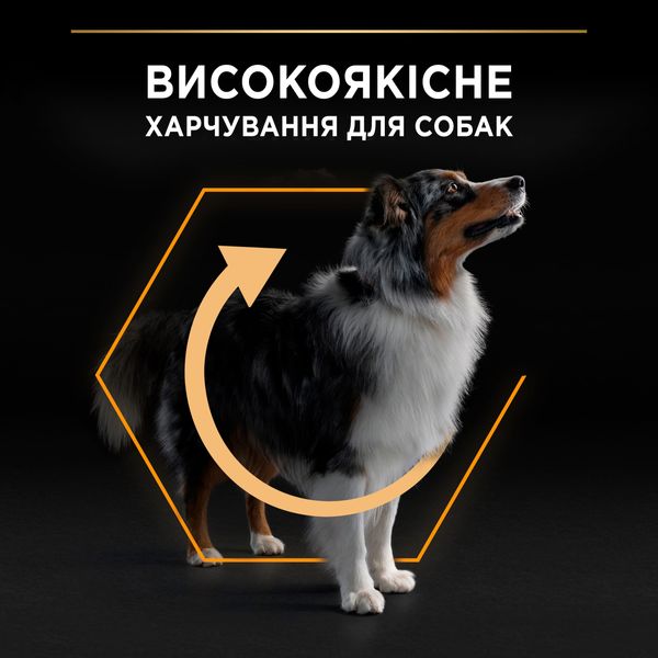 Сухой корм для взрослых собак больших пород Purina Pro Plan Large Robust Adult 2+ Everyday Nutrion с курицей 14 кг. VZ000030058F фото