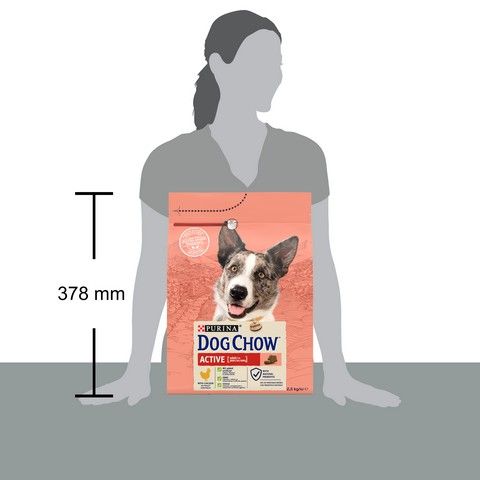 Сухой корм Dog Chow Adult Active для активных взрослых собак с курицей 2,5 кг ( 7613034487858) VZ000074256F фото