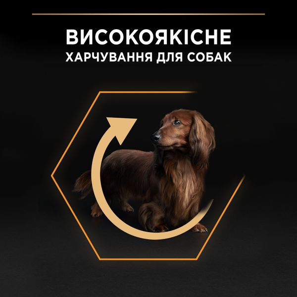 Сухой корм PRO PLAN Small&Mini Adult для взрослых собак мелких пород, с курицей 700 г (7613035120778) VZ000029920F фото