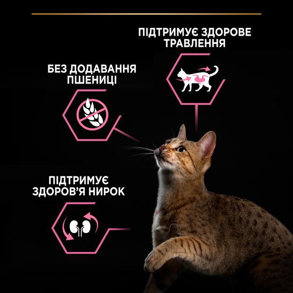 Сухой корм для кошек Purina Pro Plan Adult 1+ Delicate Digestion с чувствительным пищеварением, индейка 400 г (7613033568671) VZ000029928F фото