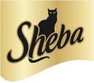 Sheba