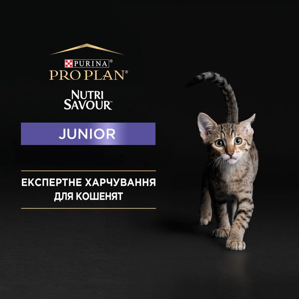 Влажный корм для котят Purina Pro Plan Junior Nutrisavour кусочки в паштете с индейкой 85 г (7613038508641) VZ000069669F фото