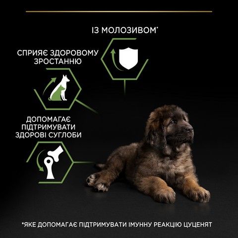 Сухой корм для щенков больших пород Purina Pro Plan Dog Large Puppy Robust с курицей 12 кг (7613035120341) VZ000029986F фото