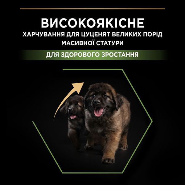 Сухой корм для щенков больших пород Purina Pro Plan Dog Large Puppy Robust с курицей 12 кг (7613035120341) VZ000029986F фото