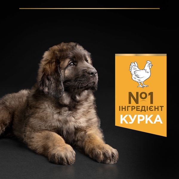 Сухой корм для щенков больших пород Purina Pro Plan Dog Large Puppy Robust с курицей 12 кг (7613035120341) VZ000029986F фото